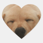 Sleeping Golden Retriever Stickers