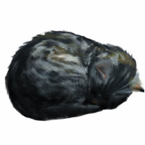 Sleeping Grey Cat Magnet