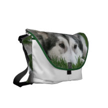 Sleeping Husky Messenger Bag