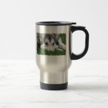 Sleeping Husky Stainless Travel Mug
