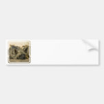 Sleeping Hyena  Bumper Sticker