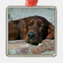 Sleeping Irish Setter Christmas Tree Ornaments