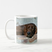 Sleeping Irish Setter Coffee Mugs