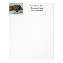 Sleeping Irish Setter Customized Letterhead