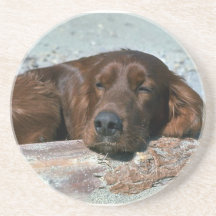 Sleeping Irish Setter Drink Coaster