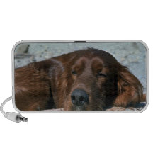 Sleeping Irish Setter iPhone Speakers