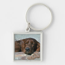 Sleeping Irish Setter Key Chain