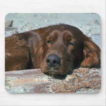 Sleeping Irish Setter Mousepads