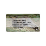 Sleeping Kangaroo Custom Address Label