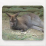 Sleeping Kangaroo Mouse Pads