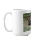Sleeping Kangaroo Coffee Mugs
