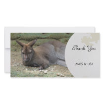 Sleeping Kangaroo Photo Greeting Card