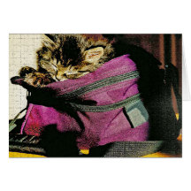 Sleeping Kitten In a Burgundy Purse Greeting Card