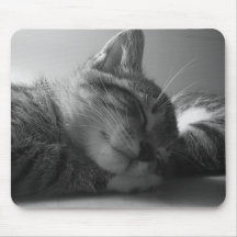 Sleeping Kitten Mouse Pad