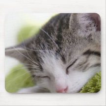 sleeping kitten mousepad