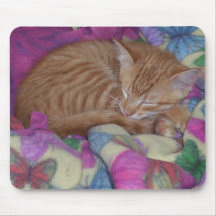 Sleeping Kitten Mousepads