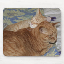 Sleeping Kitten Mousepads