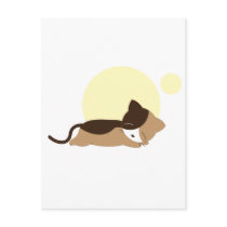 Sleeping Kitten Post Cards