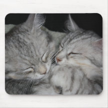 Sleeping Kittens Mousepad
