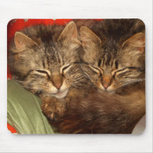 Sleeping kittens mousepad