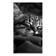 Sleeping kitty business card template