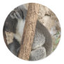 Sleeping Koala Round Sticker