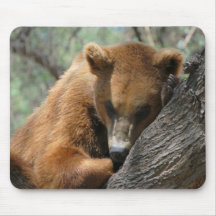 Sleeping Kodiak Bear  Mouse Pad