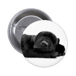 Sleeping Lab Button