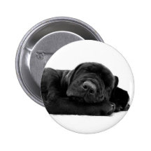 Sleeping Lab Button