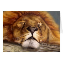 Sleeping Lion Greeting Cards