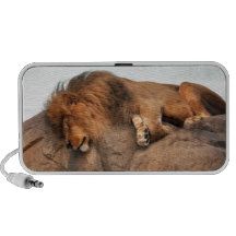 sleeping lion iPhone speaker