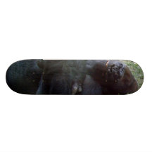 Sleeping Lowland Gorilla Kansas City Zoo Skateboards