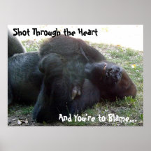 Sleeping Lowland Gorilla Shot Through the Heart Print