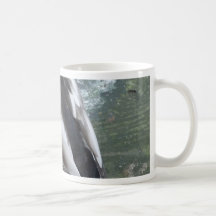 Sleeping Mallard Mugs