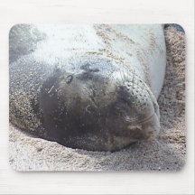 Sleeping Monk Seal Mousepad