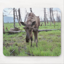 Sleeping Moose Mousepad