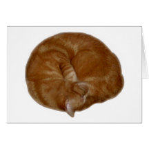Sleeping Orange Cat Greeting Cards