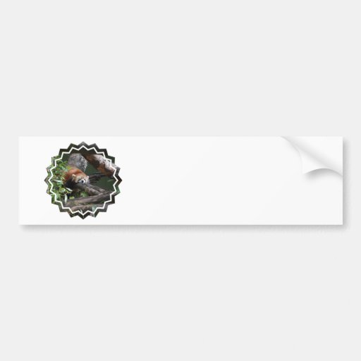 Sleeping Panda Bear  Bumper Stickers