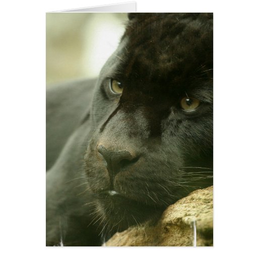 Sleeping Panther Greeting Card