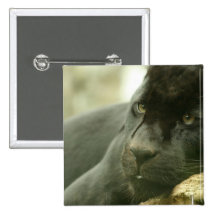 Sleeping Panther Pin