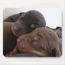 Sleeping Puppies Mouse Pad