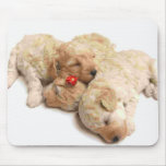 Sleeping Puppies mousepads
