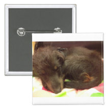 Sleeping Puppy Button