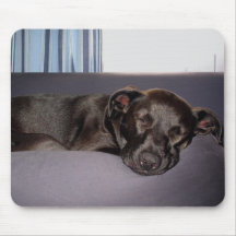 Sleeping Puppy Mouse Pads
