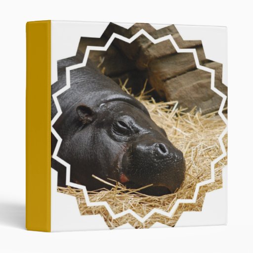 Sleeping Pygmy Hippo  Binder