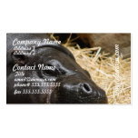 Sleeping Pygmy Hippo Business Cards