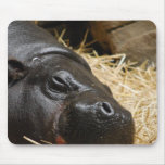 Sleeping Pygmy Hippo Mouse Pads