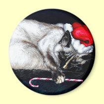 Sleeping Santa Claws magnets