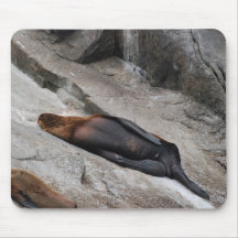 Sleeping Sea Lion Mouse Mat