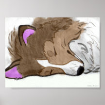 Sleeping Sheltie Poster